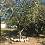 Cort'e Accas Aparthotel 3*