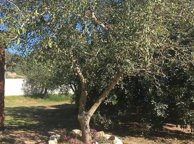 Cort'e Accas Aparthotel 3*