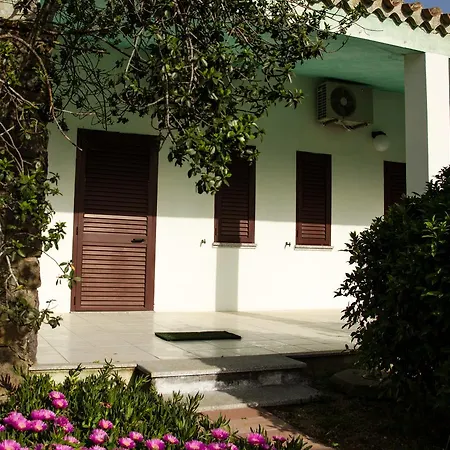 Cort'e Accas باري ساردو