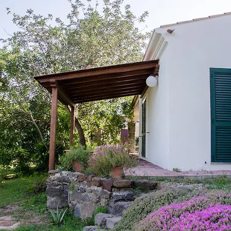 Cort'e Accas باري ساردو